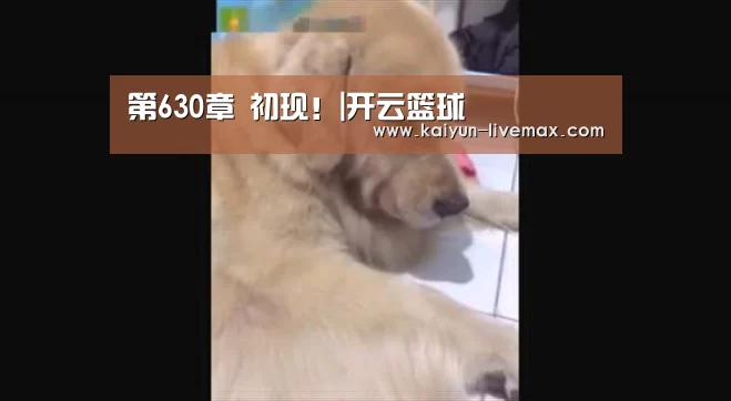 开云体育