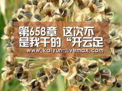 第658章 这次不是我干的“开云足球”(图1) 开云体育